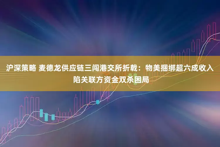 沪深策略 麦德龙供应链三闯港交所折戟：物美捆绑超六成收入 陷关联方资金双杀困局